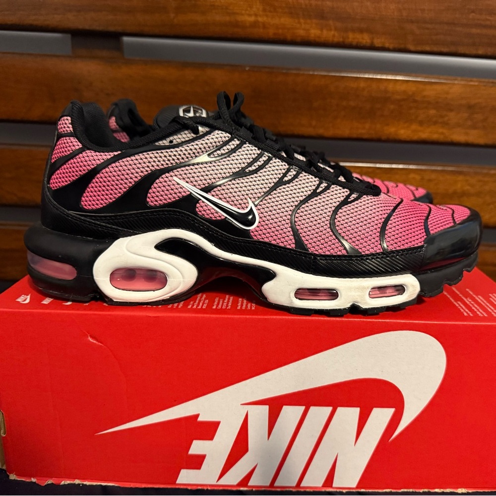 NIKE AIR MAX PLUS “ALL DAY” **Sz 12** EXCELLENT CONDITION